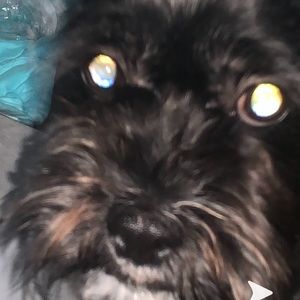 Meet your Posher, Ashmita